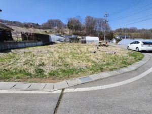 南東側より敷地全景。