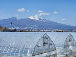 北側眺望。浅間山が綺麗に見える、見晴らしがよく気持ちのいい場所です。