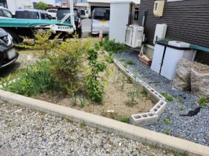 庭。家庭菜園もできる庭があります。