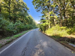 前面道路より北方向