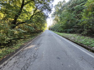 前面道路より南方向