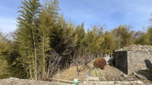 土地内より北方向。